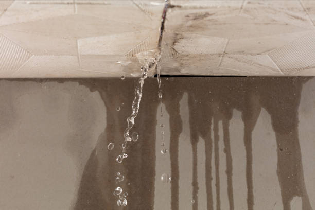 Professional Water Damage Repair technician working in Charleston, AR